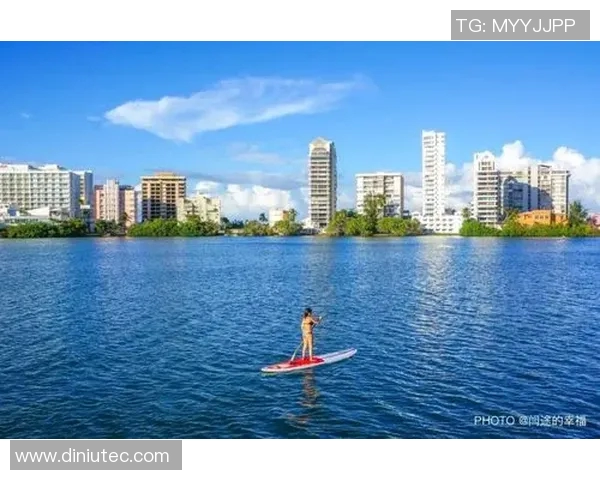 墨西哥与波多黎各排球对决精彩纷呈谁能赢得胜利的荣耀